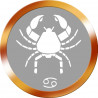 signe zodiaque scorpion rond doré - 10cm - Sticker/autocollant