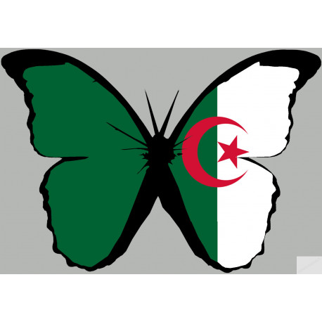 effet papillon Algérien - 15x10.5cm - Sticker/autocollant