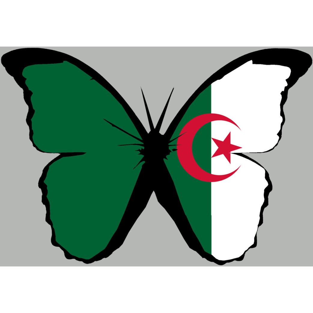 effet papillon Algérien - 10x7cm - Sticker/autocollant
