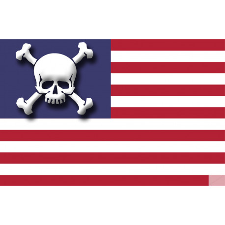 drapeau US crâne - 19,5x13cm - Sticker/autocollant