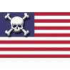 drapeau US crâne - 19,5x13cm - Sticker/autocollant