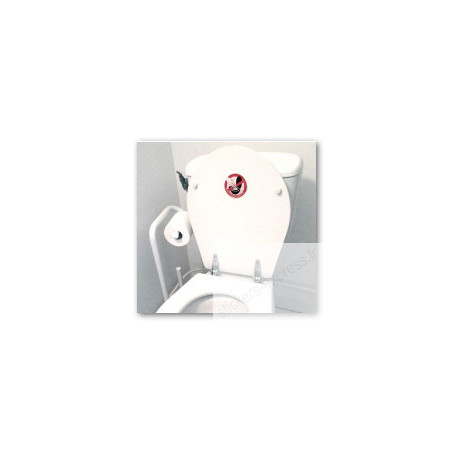 Autocollant "Ne Rien Jeter Hors Papier Toilettes" - 5cm - Pour WC, Gîtes, Chambres D'hôtes
