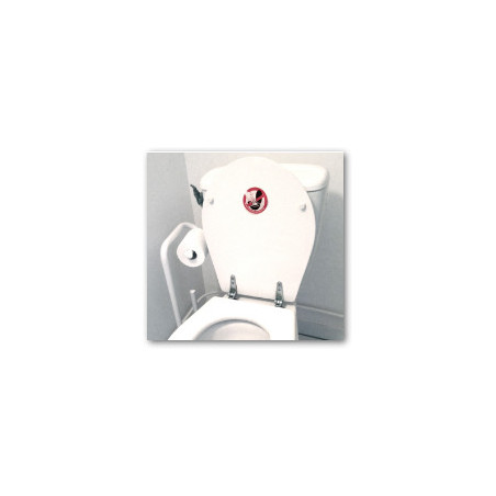 ne rien jeter hors papier toilettes dans les WC - 15cm - Sticker/autocollant