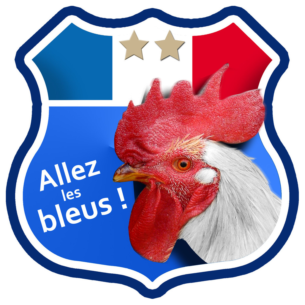 Allez les bleus deux étoiles ! - 20x20cm - Sticker/autocollant