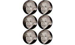 Albert Einstein - 6 stickers de 9 cm
