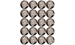 Albert Einstein (20 fois 5cm) - Sticker/autocollant