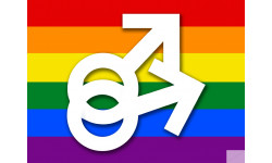 DRAPEAU LGBT gay  - 20x15cm - Sticker/autocollant