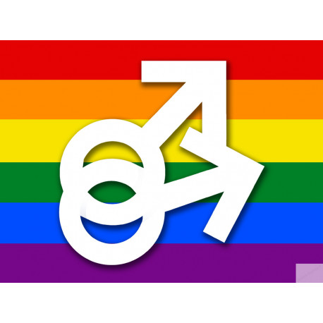 DRAPEAU LGBT gay  - 20x15cm - Sticker/autocollant