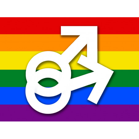 DRAPEAU LGBT gay  - 20x15cm - Sticker/autocollant