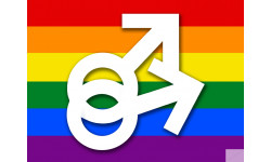 DRAPEAU LGBT gay  - 15x11cm - Sticker/autocollant