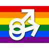 DRAPEAU LGBT gay  - 10x7.5cm - Sticker/autocollant