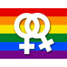 DRAPEAU LGBT lesbien - 20x15cm - Sticker/autocollant