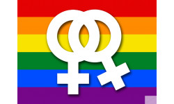 DRAPEAU LGBT lesbien - 29x21.7cm - Sticker/autocollant