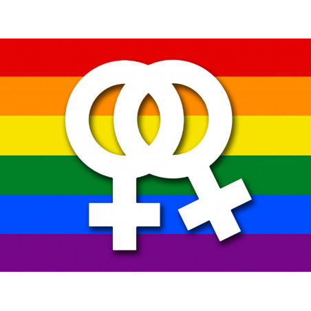 DRAPEAU LGBT lesbien - 29x21.7cm - Sticker/autocollant