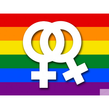 DRAPEAU LGBT lesbien - 10x7.5cm - Sticker/autocollant