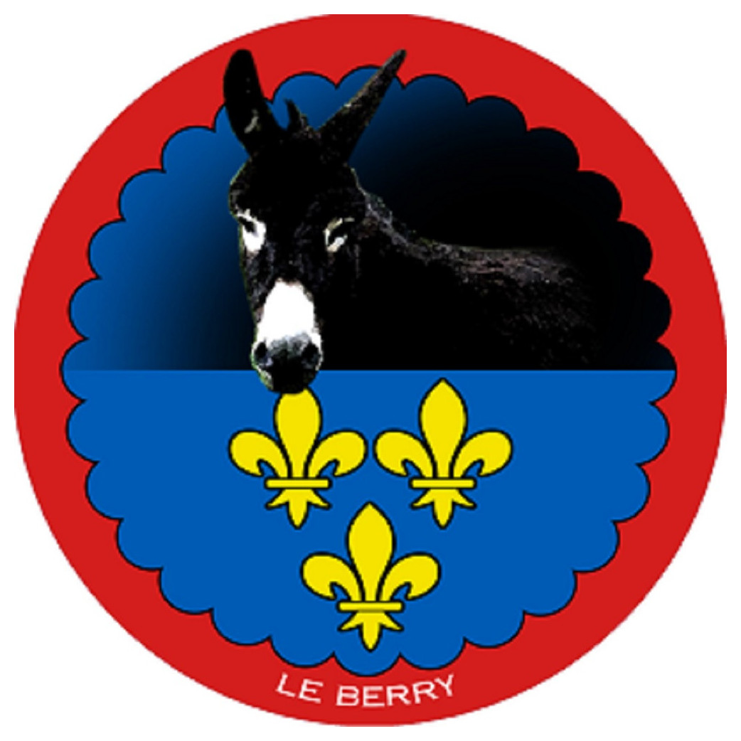 L'âne grand noir du Berry - 15 cm - Sticker/autocollant
