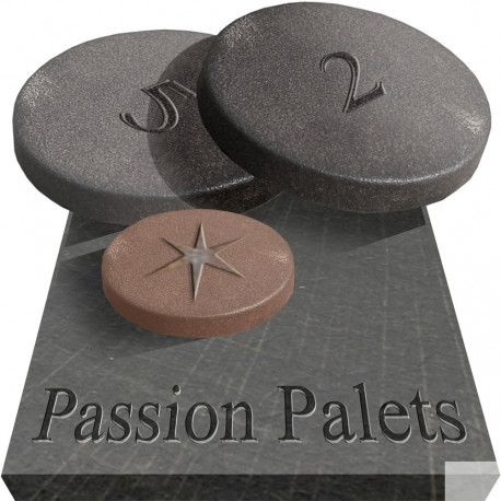 passion palets - 20x20cm - Sticker/autocollant