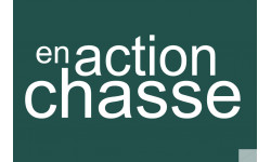 en action de chasse vert - 10x6.5cm - Sticker/autocollant