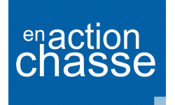 en action de chasse - 10x6.5cm - Sticker/autocollant