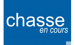 chasse en cours - 29x19.3cm - Sticker/autocollant