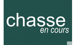 chasse en cours vert - 10x6.5cm - Sticker/autocollant