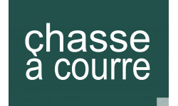 chasse à courre vert - 20x13.3cm - Sticker/autocollant