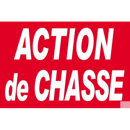 Action de chasse - 30x20cm - Sticker/autocollant