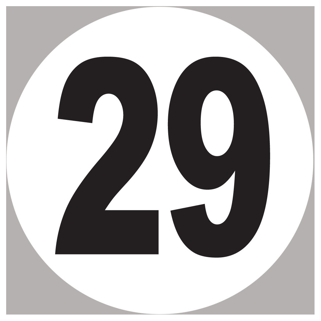 numéro 29 - 20x20cm - Sticker/autocollant