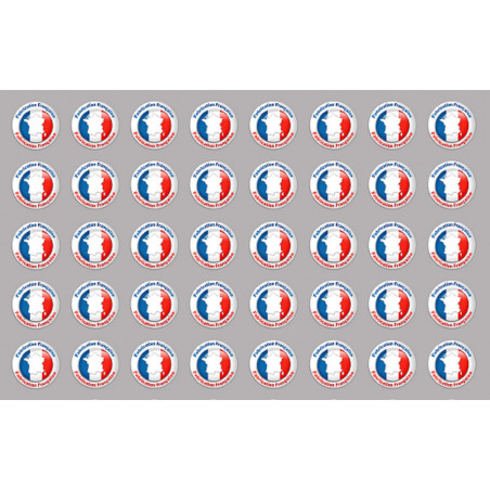 Fabrication Française (40 fois 2cm) - Sticker/autocollant