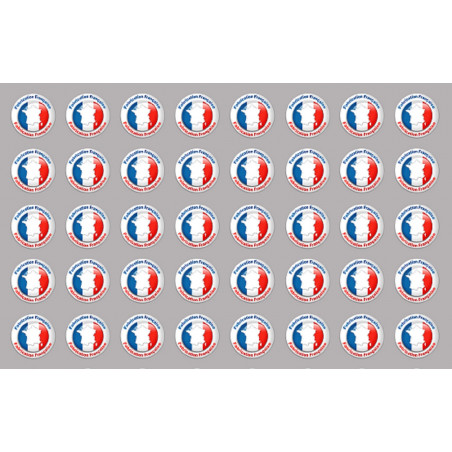 Fabrication Française (40 fois 2cm) - Sticker/autocollant