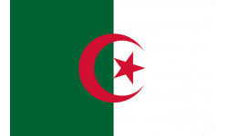 Drapeau Algérie (19.5x13cm) - Sticker/autocollant