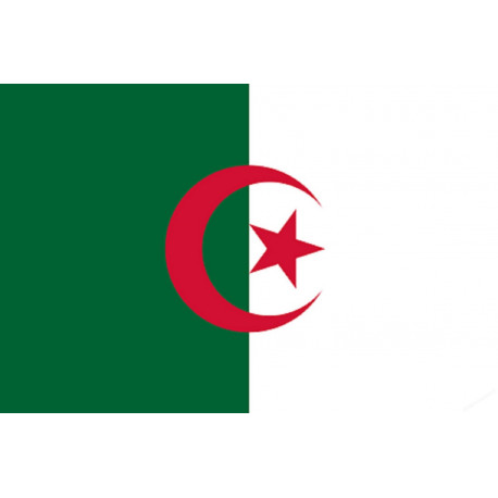 Drapeau Algérie (19.5x13cm) - Sticker/autocollant