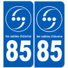 immatriculation 85 les Sables d'Olonne (2fois 10,2x4,6cm) - Sticker/autocollant