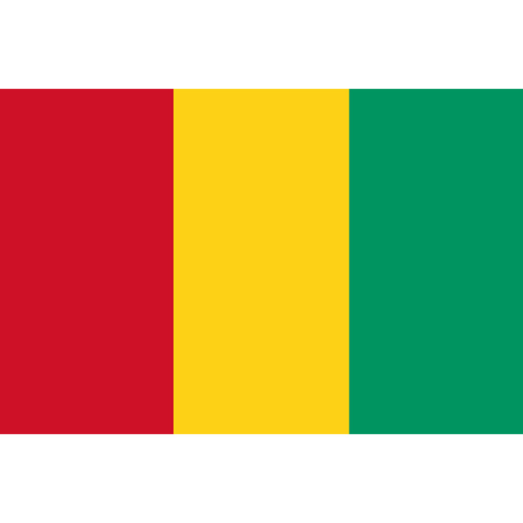 Drapeau Guinée (19.5x13cm) - Sticker/autocollant