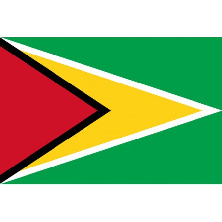 Drapeau Guyana - (19.5x13cm) - Sticker/autocollant