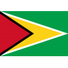 Drapeau Guyana - (19.5x13cm) - Sticker/autocollant