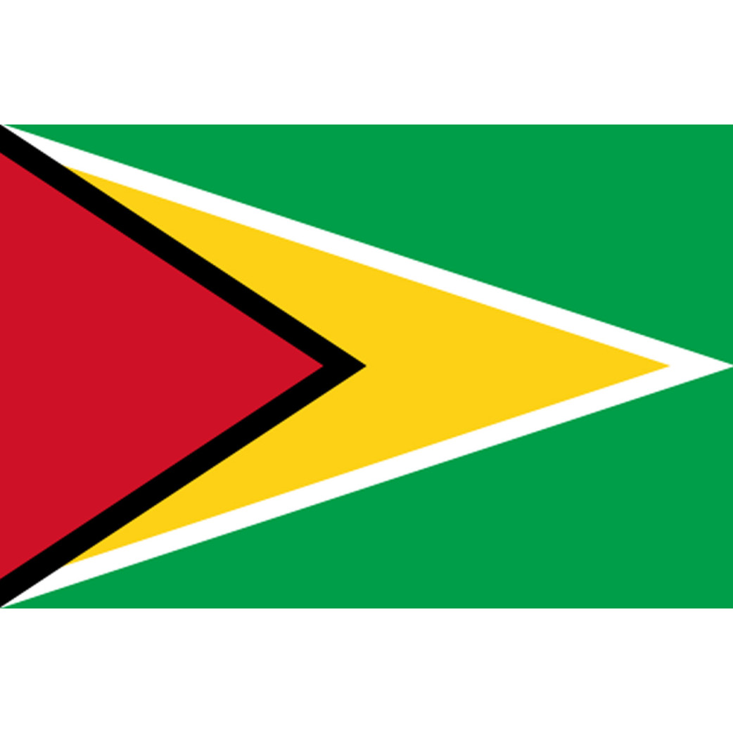 Drapeau Guyana - (5x3.3cm) - Sticker/autocollant