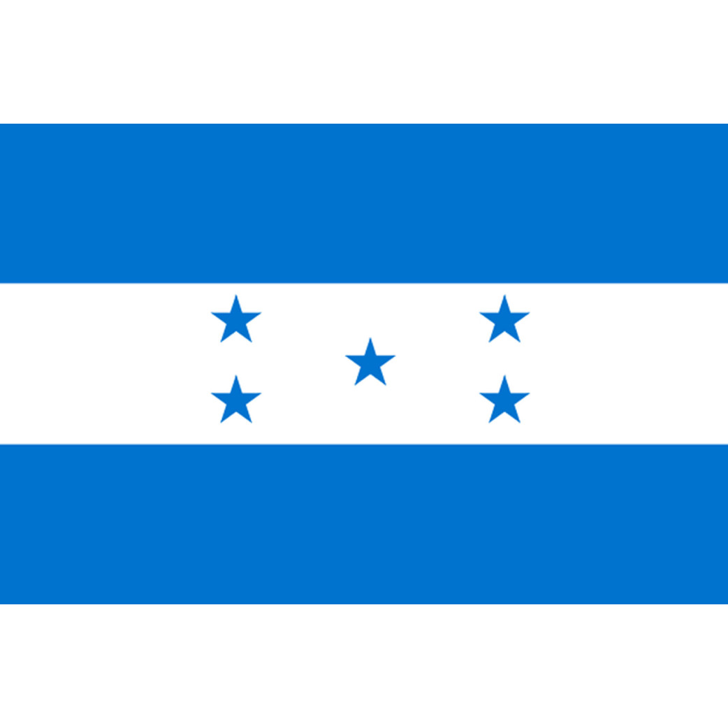 Drapeau Honduras - (19.5x13cm) - Sticker/autocollant