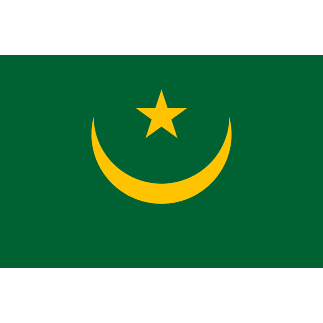 Drapeau Mauritanie (15x10cm) - Sticker/autocollant