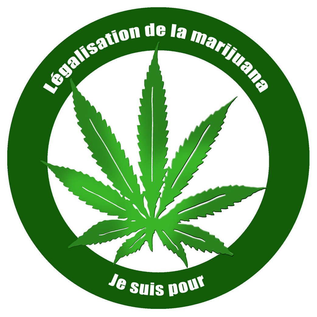 Pour la légalisation de la marijuana (20x20cm) - Sticker/autocollant