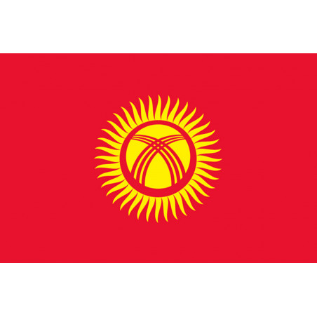 Drapeau Kirghizistan (5x3.3cm) - Sticker/autocollant