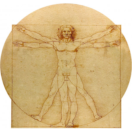 L'homme de Vitruve (5x4.7cm) - Sticker/autocollant