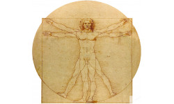 L'homme de Vitruve (10x9.5cm) - Sticker/autocollant