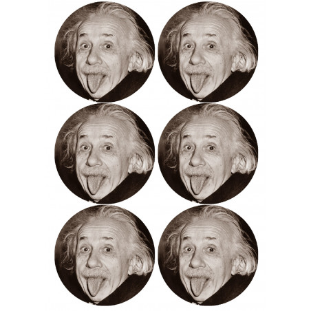 Albert Einstein (6 fois 9cm) - Sticker/autocollant