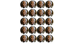 Nelson Mandela (20 fois 5cm) - Sticker/autocollant