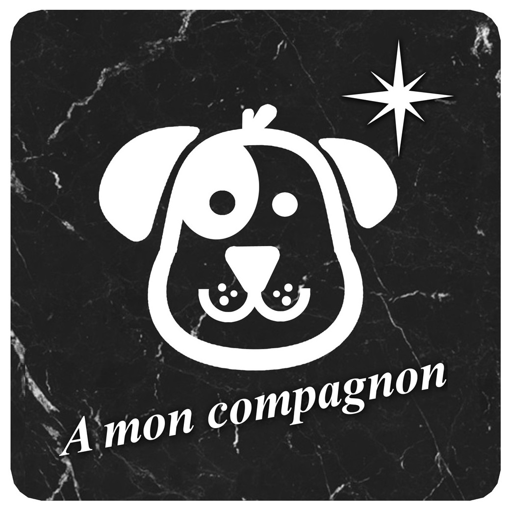 à mon compagnon chien marbre noir (15x15cm) - Sticker/autocollant