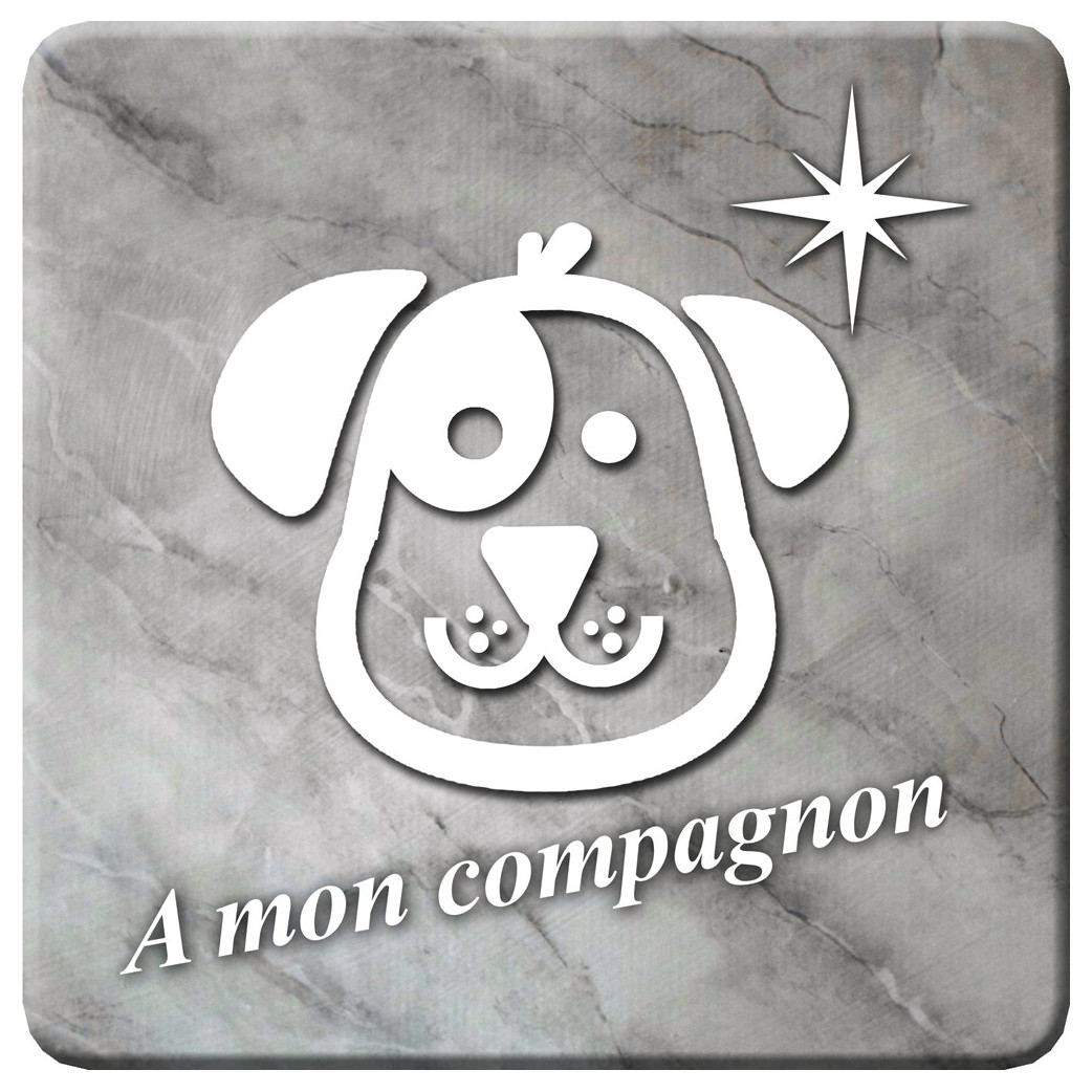 à mon compagnon chien marbre gris (10x10cm) - Sticker/autocollant