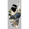 Corsica cascade - 10x4.5cm - Sticker/autocollant