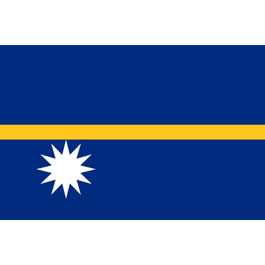 Drapeau Nauru (19.5x13cm) - Sticker/autocollant