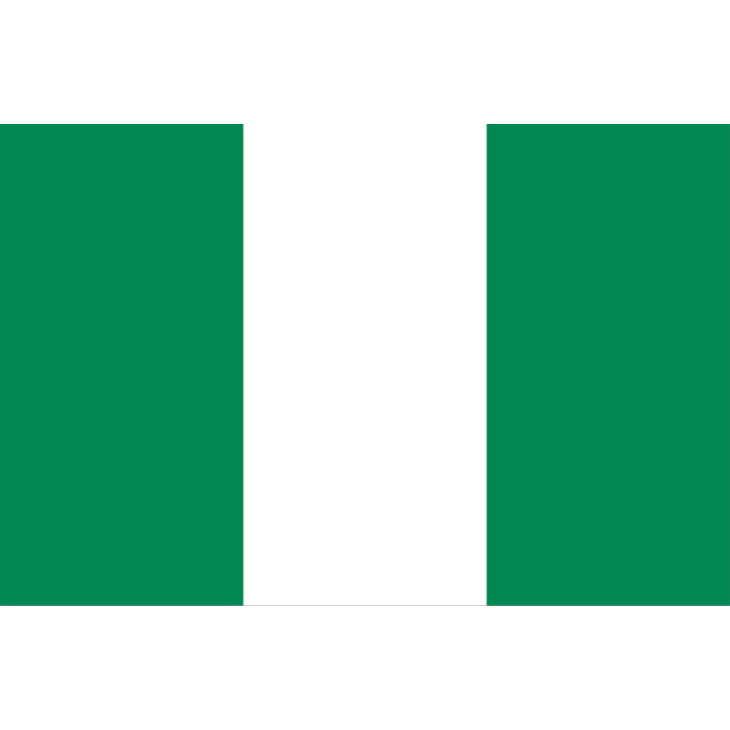 Drapeau Nigeria (19.5x13cm) - Sticker/autocollant